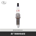 帮力省火花塞高端铱铂金型S-ZR5TPP33R6-BL95888