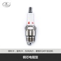 帮力省火花塞铜芯电阻型S-AP6RFS-8-BL2922