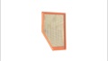 paper air filter with high quality  provide in China A3137C 92196275