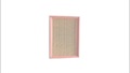 Hot sale air intake filter auto air filter for 13721730946 13721738462 c25114