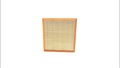 OEM 1109110XKV08AR/09551842 car air filter element supplier
